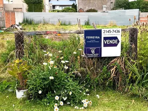 Felipe de Arana al 4800