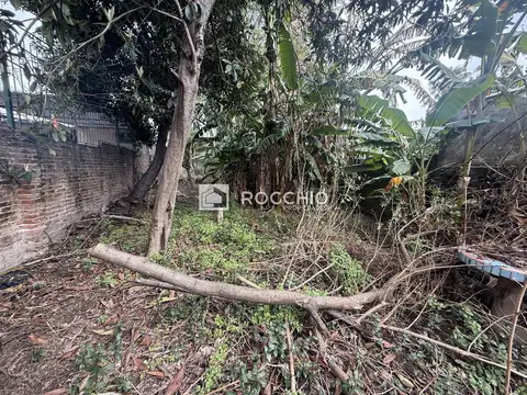 Terreno en Venta 7  mts Fondo