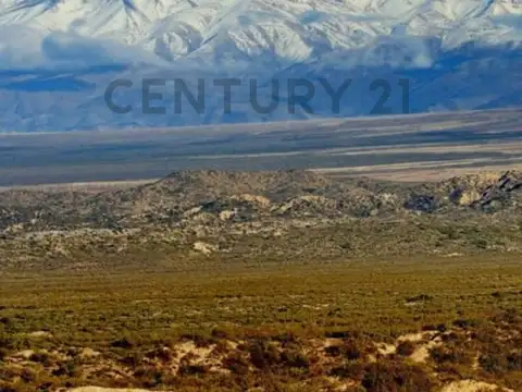 Century 21 vende 60 hectáreas de chacra en Valle de Uco