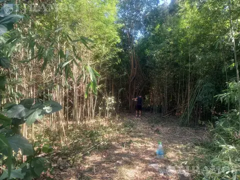 Entre Rios y Los Cipreses- M Alberti- Alt km 38,5 Paname ramal Pilar