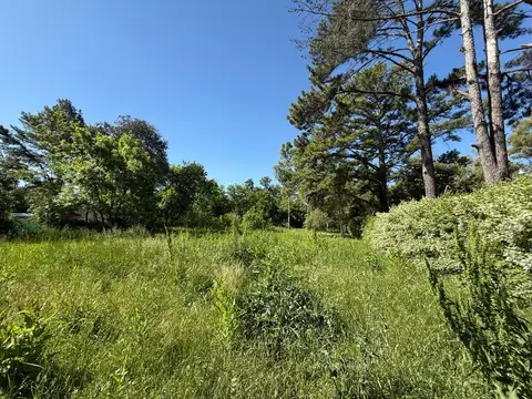 Terreno en Venta en Parada Robles, USD 55.000