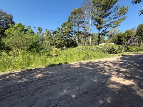 Barrio El Zorzal - Exaltación de la Cruz