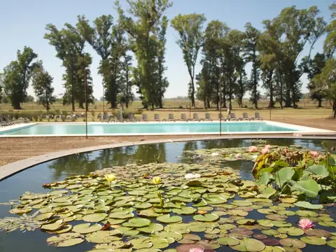 Terreno en Venta de 1037,0 m2