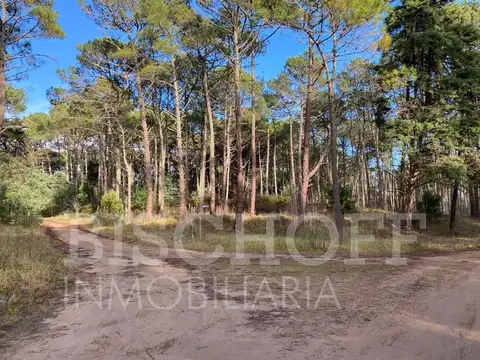 Terreno en Venta en Carilo, USD 125.000