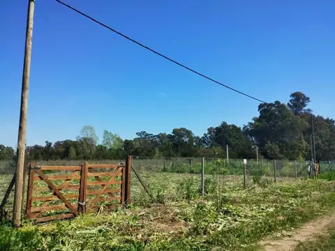 Terreno en Venta en Villa Parque Sicardi, Partido de La Plata