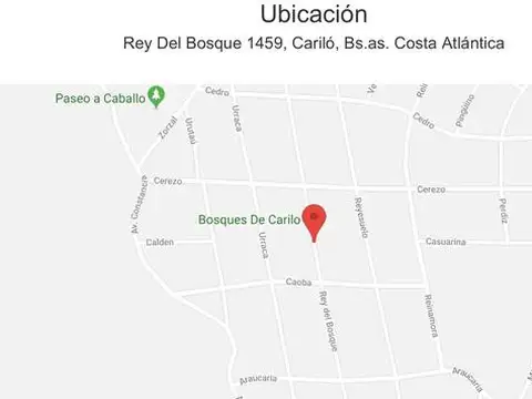 rey del bosque al 1400