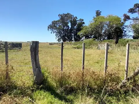 DOLORES. PROVINCIA DE BUENOS AIRES