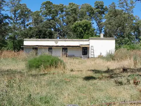 Campo en Dolores