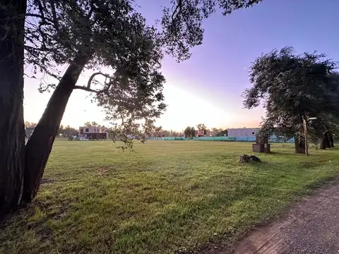 Terreno en Venta de 1381,0 m2