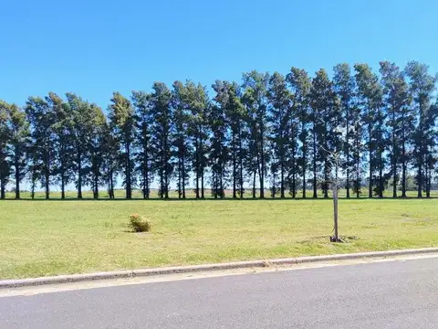 Terreno en Venta en General Lagos, USD 20.000