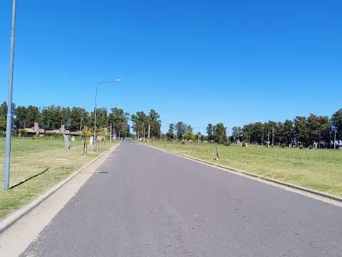Terreno en Venta de 300,0 m2