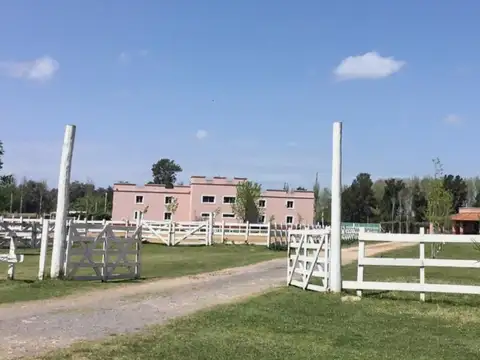 Haras del Sol 100