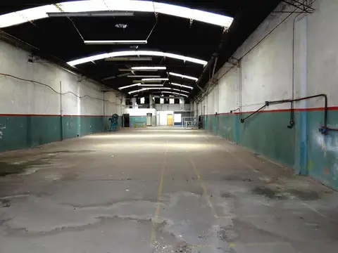 Constituyentes al 1900