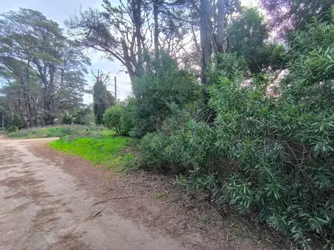 Terreno en Venta de 296,0 m2