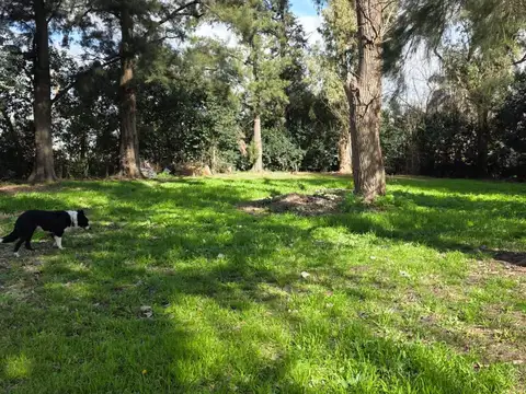 Terreno en Venta de 1104,0 m2