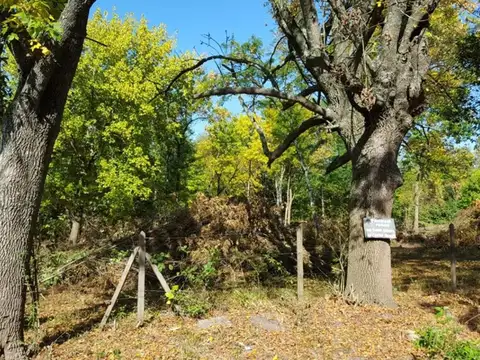 Terreno en Venta en Pilar, USD 250.000