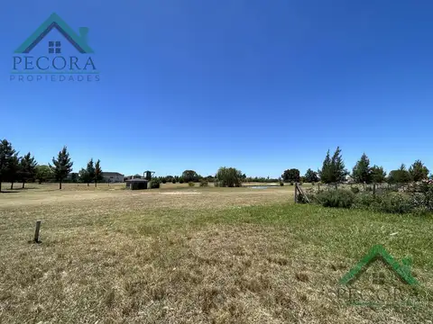 El Trébol - lote 1532 - Haras Santa Maria