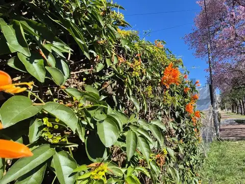 Terreno en Venta de 245,0 m2