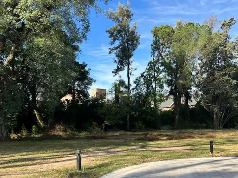 Terreno - Santa Rita