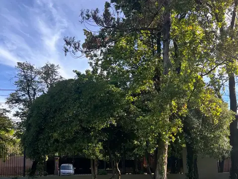 Santa Rita  al 1000