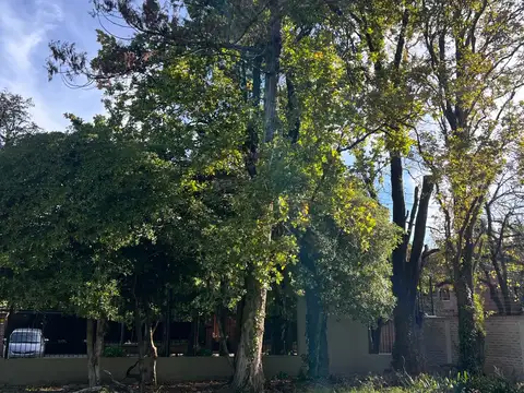 Terreno en Venta de 764,0 m2