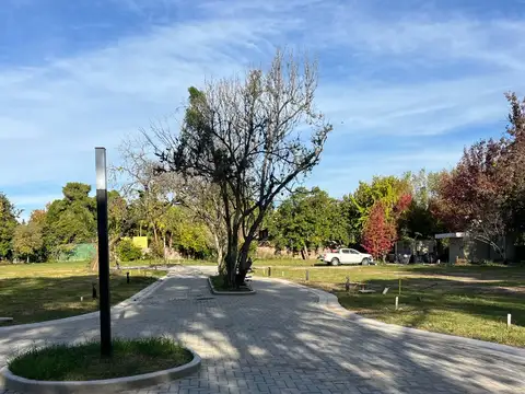 Santa Rita  al 1000