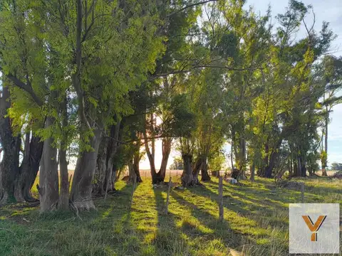 Casa en Venta 40 años
