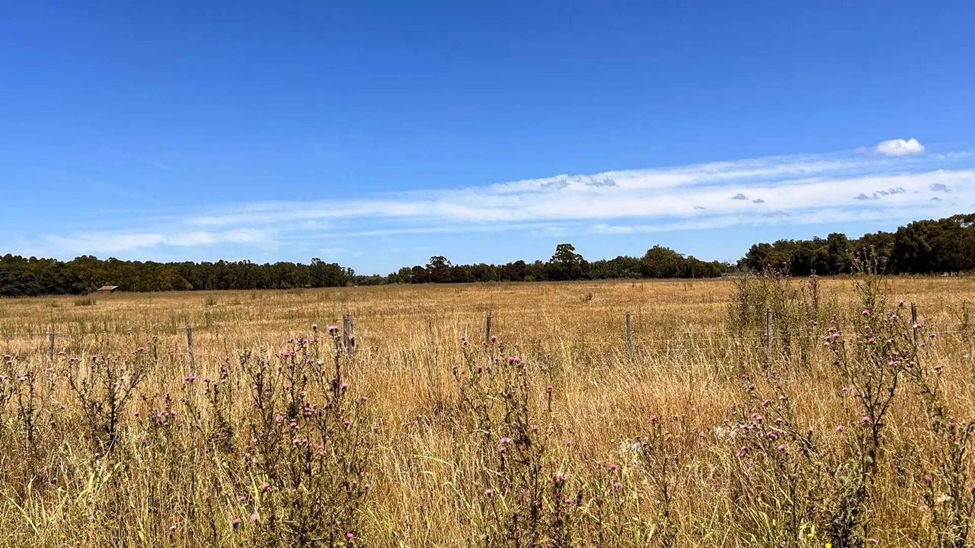 Venta lote de 3606m² en Estación Camet financiado