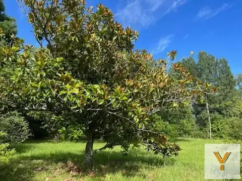 Casa en venta - 1 Ambiente - Tigre