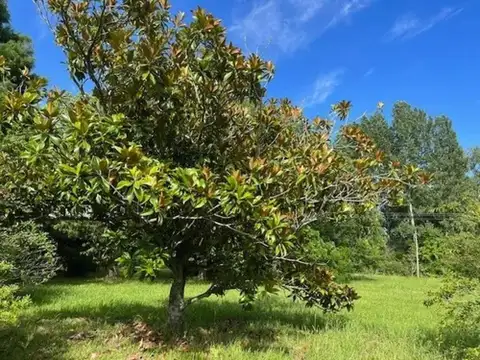 Casa en venta - 1 Ambiente - Tigre