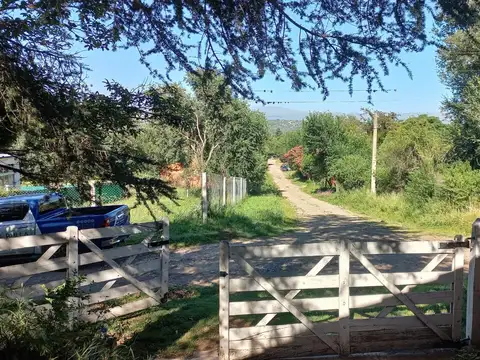 Teodoro Funes 100