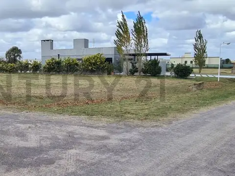 RUTA 4 , Piso 0