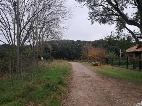 Terreno en Venta en Villa Elisa, USD 45.000