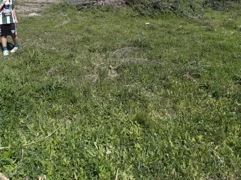 Terreno en Venta de 1050,0 m2