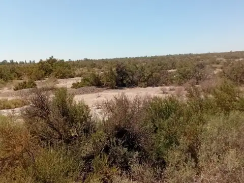 SE  VENDE  58 HECTARIAS EN PARAMILLO LAVALLE