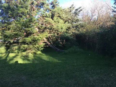 Terreno en venta - 538mts2 - Ezeiza