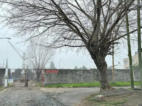 Terreno en Alquiler de 4000,0 m2