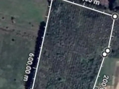 Terreno en Alquiler en Las Piedras, $ 100.000