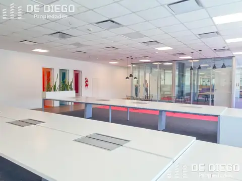 Oficinas en alquiler 950 M2 en Edificio LUMINA THAMES San Isidro, CERTIFICACION LEED GREEN BUILDING