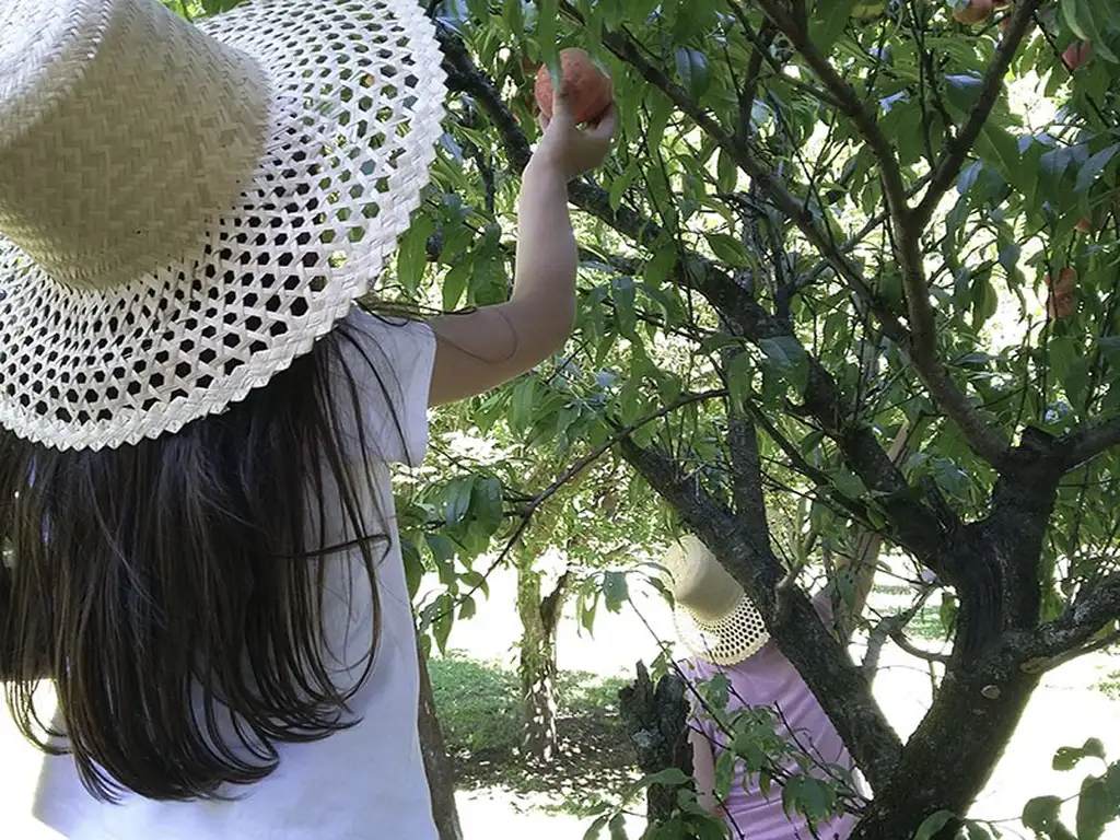 Áreas comunes piscina, club-house en Piano Viejo