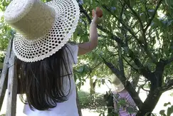 Áreas comunes piscina, club-house en Piano Viejo en Cordoba, Cordoba