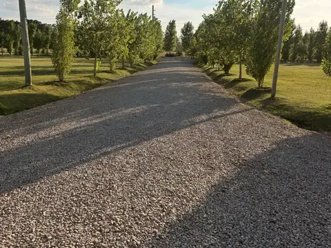 ISLA ARIADNA 1500