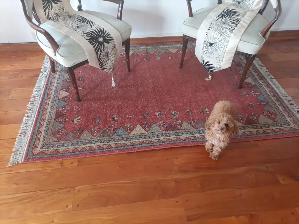 Departamento 4 ambientes con 2 cocheras - Marinas Golf Club  - Foto 14