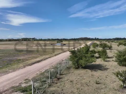 Terreno en venta  -  Los Talas (Berisso)
