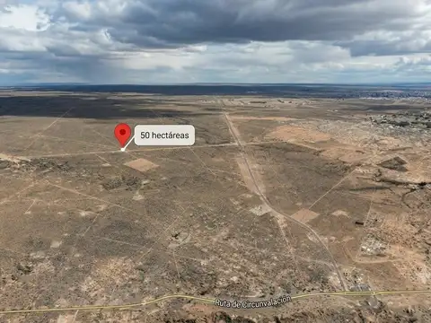 50 hectáreas, Ruta 67, Parque Industrial Neuquen