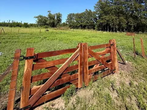 Terreno en Venta en Diego Gaynor, USD 5.000