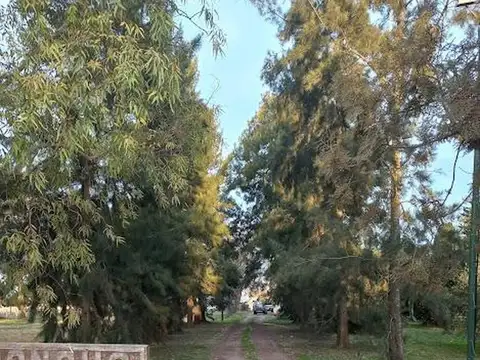 Campo de 2.7 has en Cañuelas, con acceso desde la ruta 205.