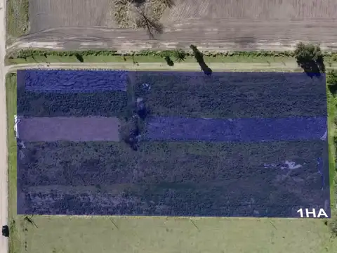 Terreno en Venta en Avellaneda, USD 150.000