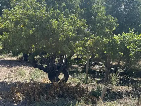 Terreno en Venta en 3 de Mayo, USD 85.000