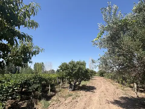 Ruta provincial 36 - calle 3 de mayo